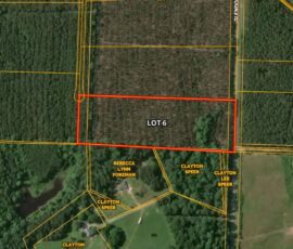 GIS parcel map of Lot 6, Carthage Pines Estates — 10.91-acre boundary highlighted on Glendon-Carthage Rd, Moore County NC