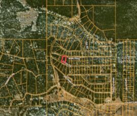 GIS parcel map showing lot R000982301 (outlined in red) in Manzano Springs Estates near Hopi Trail and Chico Rd, Edgewood, NM