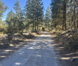Dirt road through pine canopy with an open clearing visible ahead, access route to parcel R382767, Bonanza, Oregon