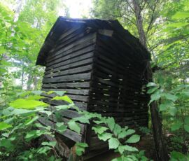 Old log outbuilding present on the property, Reidsville NC (APNs 181763, 181764, 180667 Lot 1)