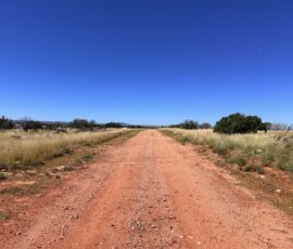 Red dirt road leading through open high desert with juniper scrub and golden grass, Navajo County AZ — parcel 111-22-195