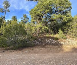 Ground-level view at the lot frontage showing dirt road access and native piñon pine and juniper vegetation, Edgewood, NM — parcel R000982301