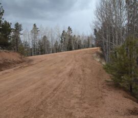Dirt road access to the lot lined with ponderosa pines and quaking aspens — Teller County, Colorado, APN R0008352