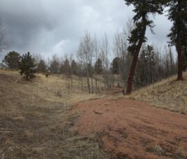 Open bowl terrain on the lot with steep aspen- and pine-studded slopes showing the natural contour of the hillside — Cripple Creek Mountain Estates