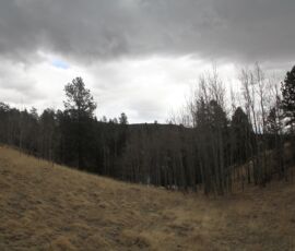Wide sloping meadow on the lot with mountain ridgeline backdrop and mixed pines at the tree line under a dramatic sky — Cripple Creek Mountain Estates, Teller County