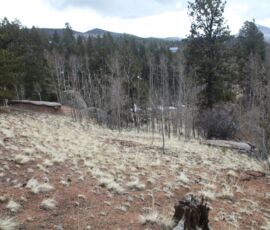 Open rocky hillside showing red granite outcrops, native grasses, and distant ridgeline — APN R0008352, Teller County, Colorado