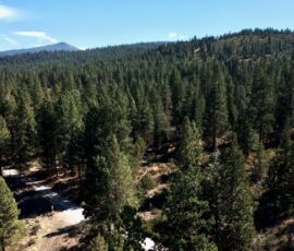 Aerial view showing dirt road access winding through the subdivision with a mountain peak visible in the background, parcel R382767, Klamath County, Oregon