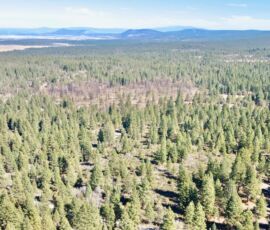 Wide aerial view showing ponderosa pine forest with surrounding mountain ranges and Klamath Basin valley on the horizon, parcel R382767 near Bonanza, OR