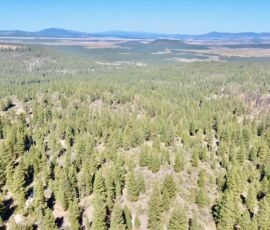 Aerial view of 2.3-acre wooded parcel in Klamath Falls Forest Estates near Bonanza, Oregon, with mountain ridges and the open Klamath Basin visible across the valley