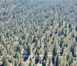 Overhead aerial view of dense ponderosa pine forest and access road corridor showing the extent of the forested area, parcel R382767, Klamath County, Oregon